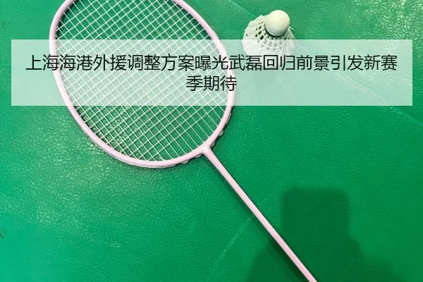 上海海港外援调整方案曝光武磊回归前景引发新赛季期待