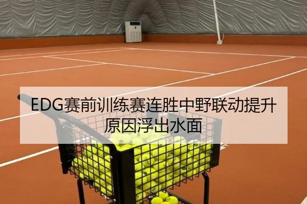 EDG赛前训练赛连胜中野联动提升原因浮出水面